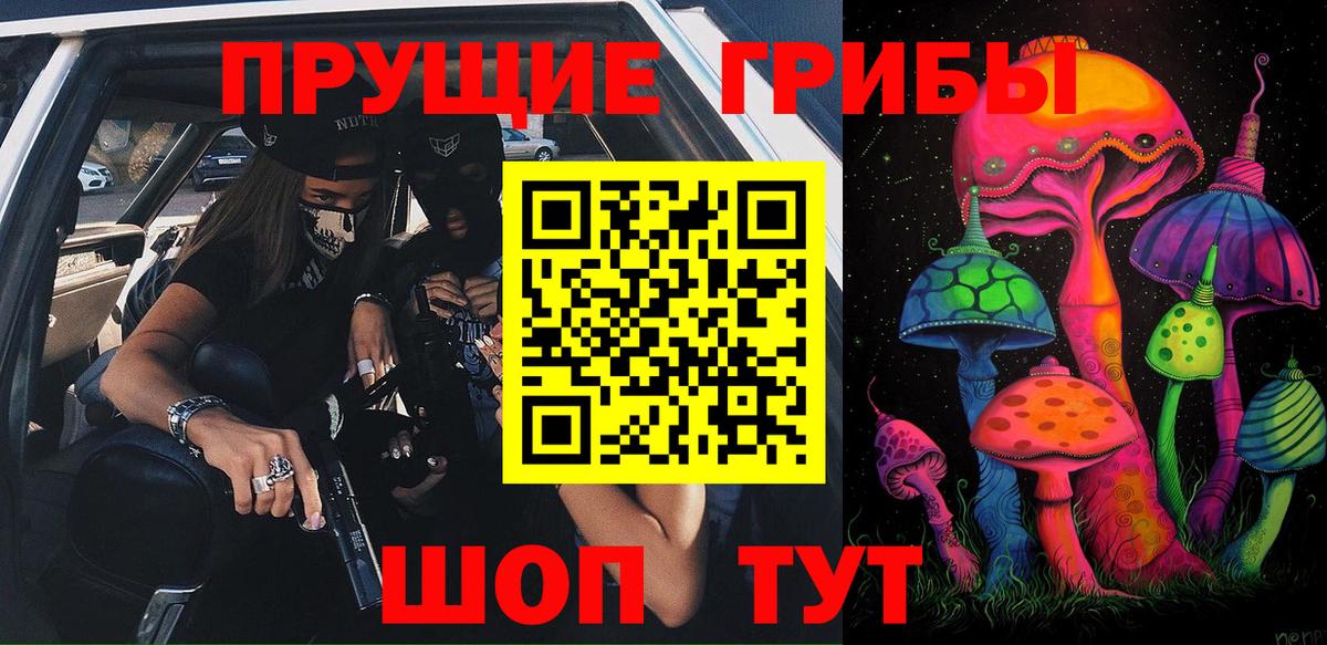 Галлюциногенные грибы Cubensis Свободный