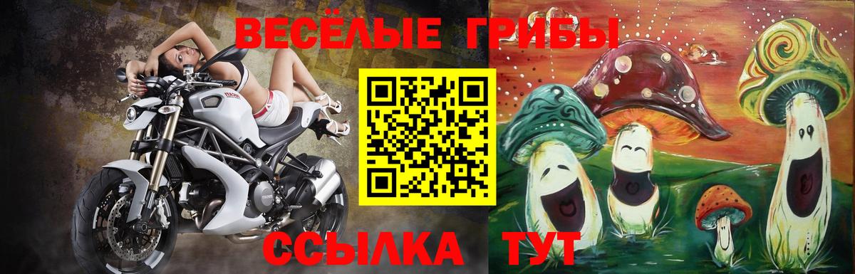 Галлюциногенные грибы Magic Shrooms  Псилоцибиновые грибы прущие грибы  Вход с VPN  Свободный 